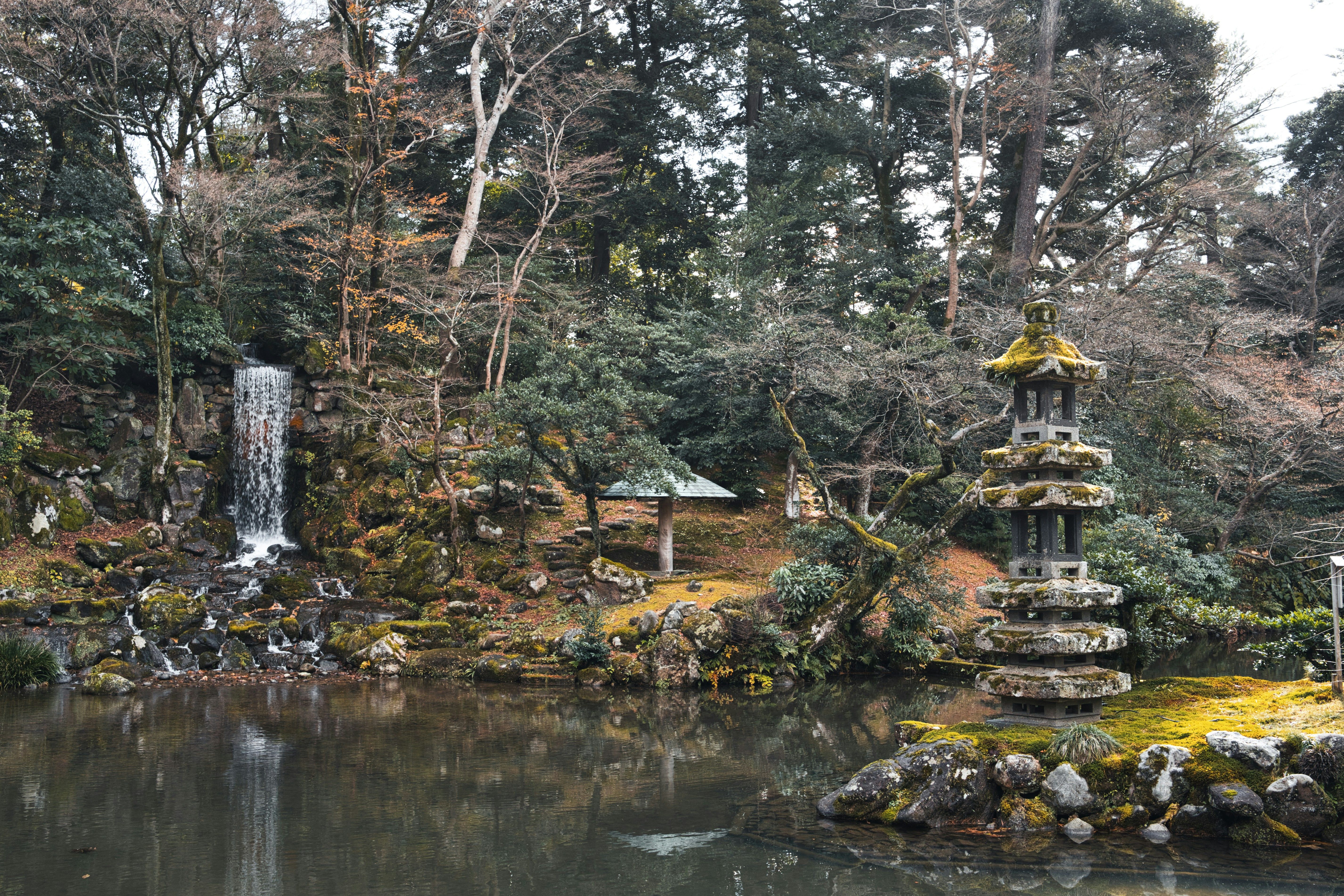 A japanese garden